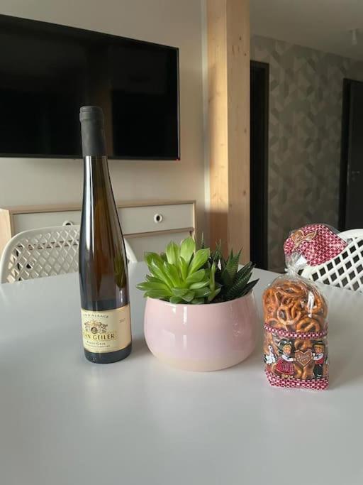 קולמר Le Scandinave Centre Ville/2 Chambres + Terrasse מראה חיצוני תמונה